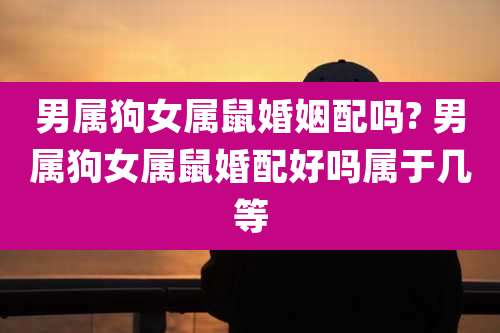 男属狗女属鼠婚姻配吗? 男属狗女属鼠婚配好吗属于几等