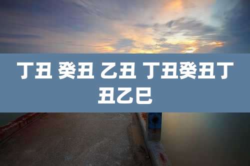 丁丑 癸丑 乙丑 丁丑癸丑丁丑乙巳