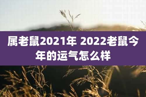 属老鼠2021年 2022老鼠今年的运气怎么样