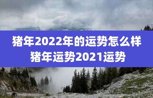猪年2022年的运势怎么样 猪年运势2021运势