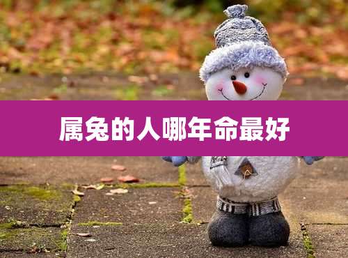 属兔的人哪年命最好