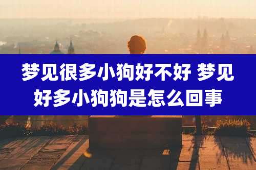 梦见很多小狗好不好 梦见好多小狗狗是怎么回事