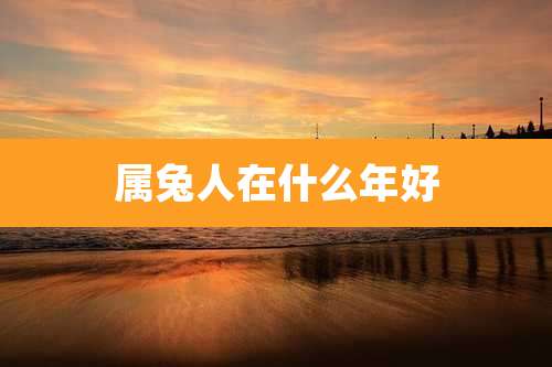 属兔人在什么年好