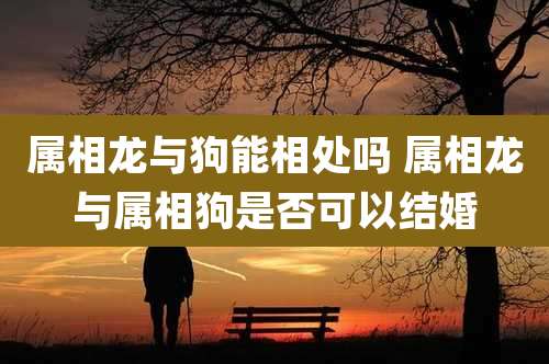 属相龙与狗能相处吗 属相龙与属相狗是否可以结婚