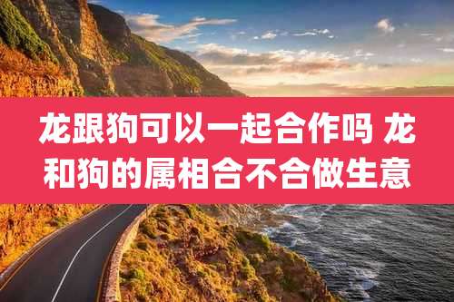 龙跟狗可以一起合作吗 龙和狗的属相合不合做生意