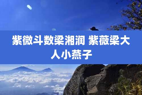 紫微斗数梁湘润 紫薇梁大人小燕子