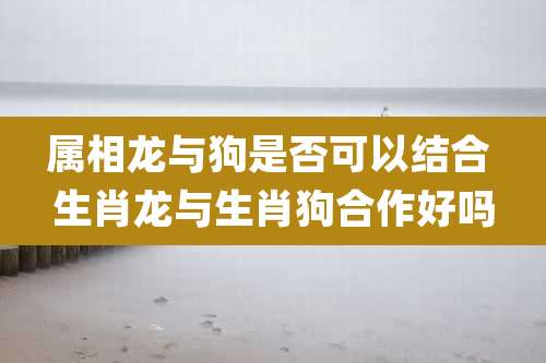 属相龙与狗是否可以结合 生肖龙与生肖狗合作好吗