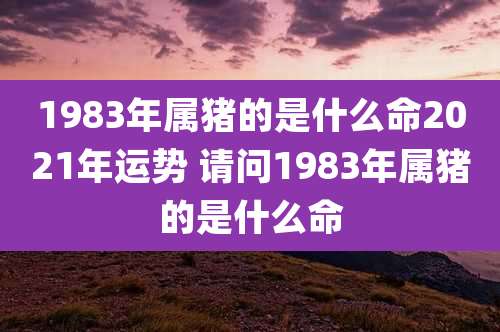 1983年属猪的是什么命2021年运势 请问1983年属猪的是什么命