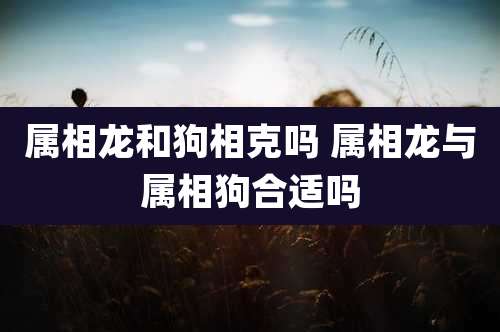 属相龙和狗相克吗 属相龙与属相狗合适吗