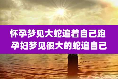 怀孕梦见大蛇追着自己跑 孕妇梦见很大的蛇追自己