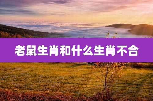 老鼠生肖和什么生肖不合