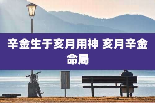 辛金生于亥月用神 亥月辛金命局