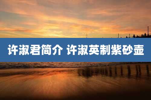 许淑君简介 许淑英制紫砂壶