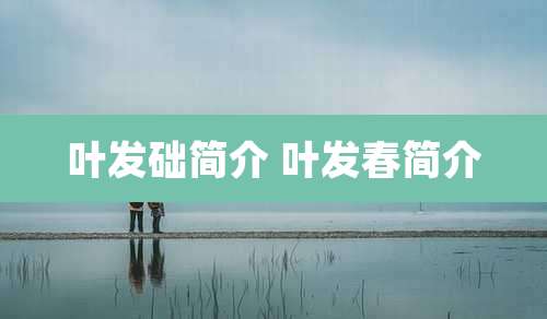 叶发础简介 叶发春简介