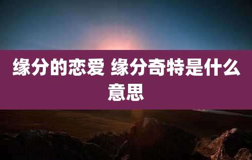 缘分的恋爱 缘分奇特是什么意思