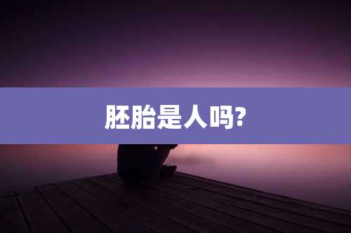 胚胎是人吗?