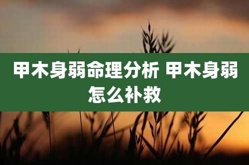 甲木身弱命理分析 甲木身弱怎么补救