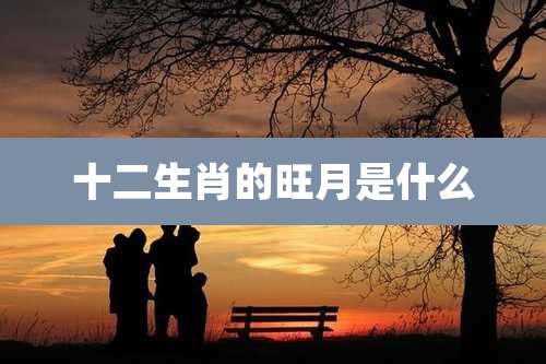 十二生肖的旺月是什么