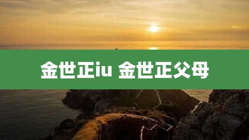 金世正iu 金世正父母