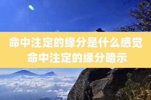 命中注定的缘分是什么感觉 命中注定的缘分暗示