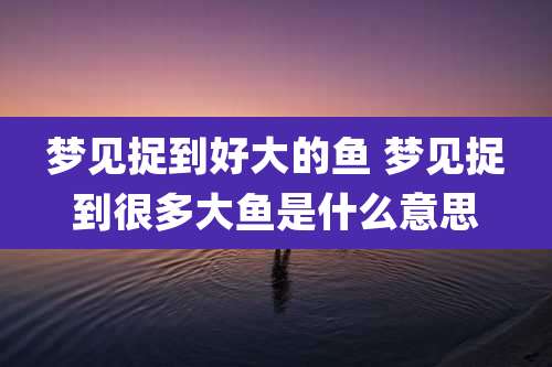 梦见捉到好大的鱼 梦见捉到很多大鱼是什么意思