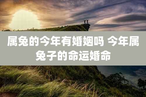 属兔的今年有婚姻吗 今年属兔子的命运婚命