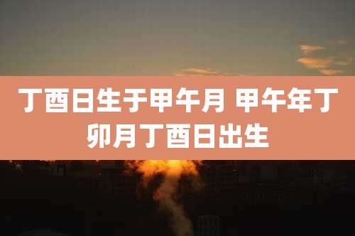 丁酉日生于甲午月 甲午年丁卯月丁酉日出生