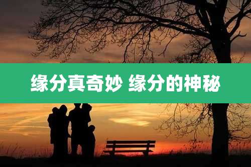 缘分真奇妙 缘分的神秘