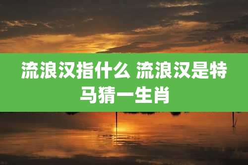 流浪汉指什么 流浪汉是特马猜一生肖