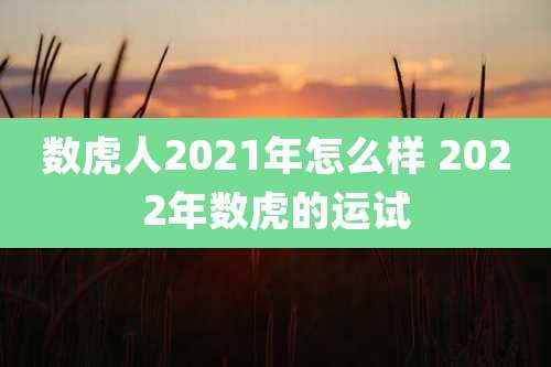 数虎人2021年怎么样 2022年数虎的运试