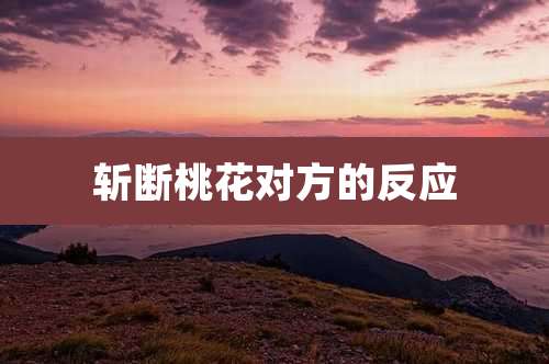 斩断桃花对方的反应