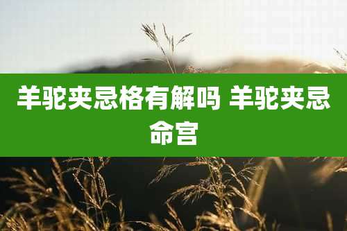 羊驼夹忌格有解吗 羊驼夹忌命宫