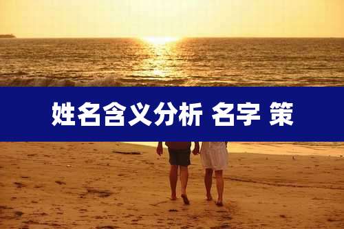 姓名含义分析 名字 策
