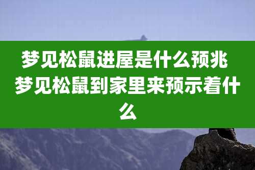 梦见松鼠进屋是什么预兆 梦见松鼠到家里来预示着什么