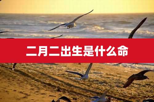 二月二出生是什么命
