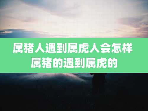 属猪人遇到属虎人会怎样 属猪的遇到属虎的