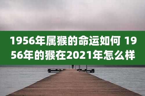 1956年属猴的命运如何 1956年的猴在2021年怎么样