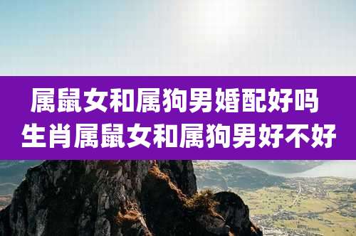 属鼠女和属狗男婚配好吗 生肖属鼠女和属狗男好不好