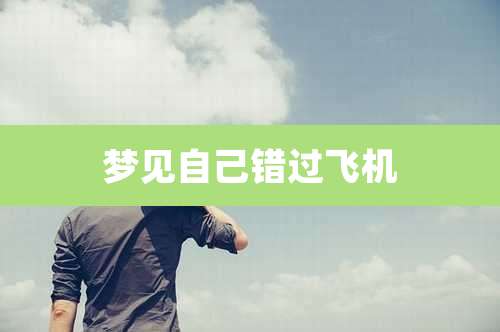 梦见自己错过飞机
