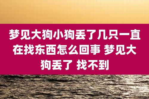 梦见大狗小狗丢了几只一直在找东西怎么回事 梦见大狗丢了 找不到