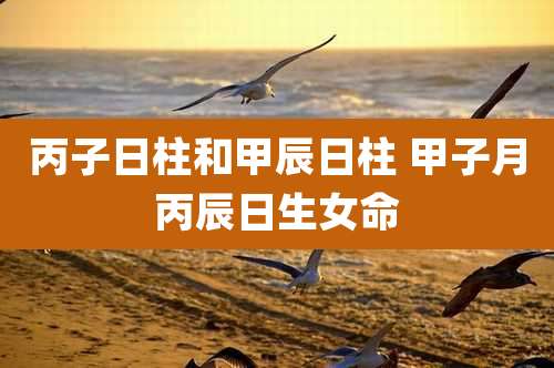 丙子日柱和甲辰日柱 甲子月丙辰日生女命