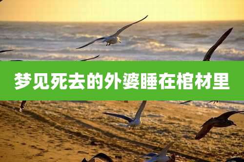 梦见死去的外婆睡在棺材里