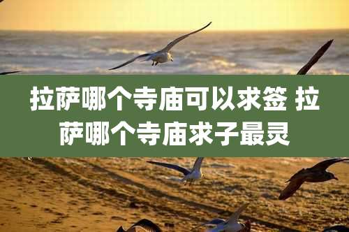 拉萨哪个寺庙可以求签 拉萨哪个寺庙求子最灵