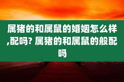 属猪的和属鼠的婚姻怎么样,配吗? 属猪的和属鼠的般配吗