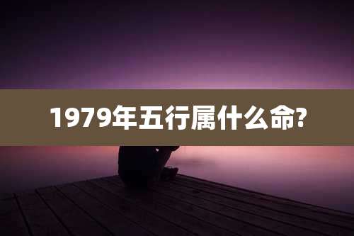 1979年五行属什么命?