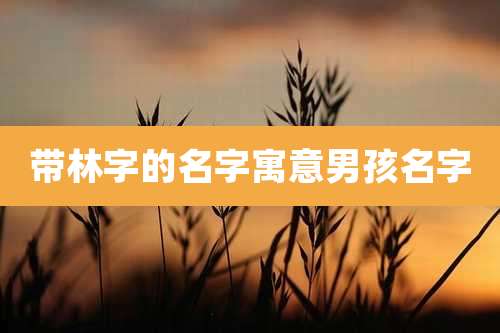带林字的名字寓意男孩名字