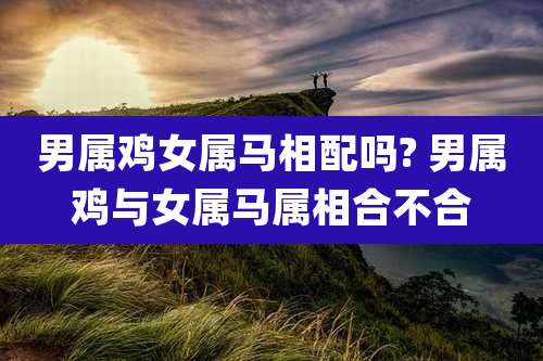 男属鸡女属马相配吗? 男属鸡与女属马属相合不合