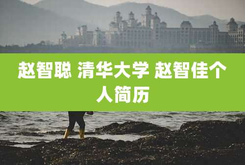 赵智聪 清华大学 赵智佳个人简历