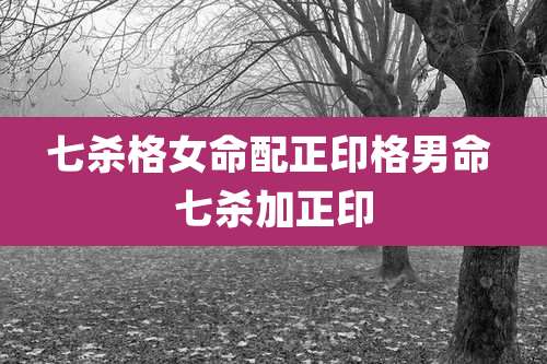 七杀格女命配正印格男命 七杀加正印