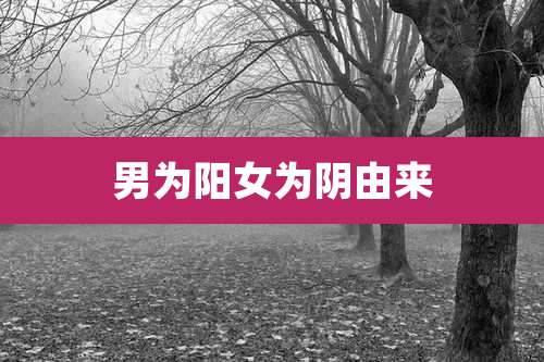 男为阳女为阴由来